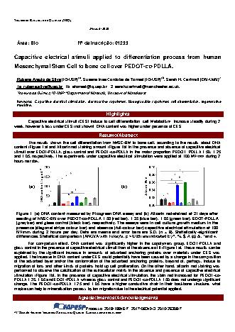 View pdf preview