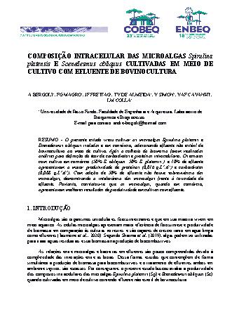 View pdf preview