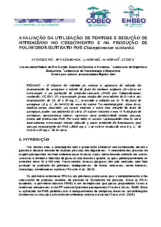 View pdf preview