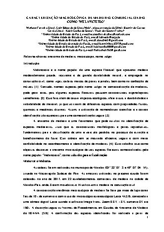 View pdf preview