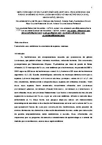 View pdf preview