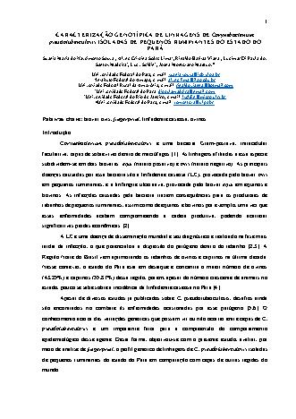 View pdf preview