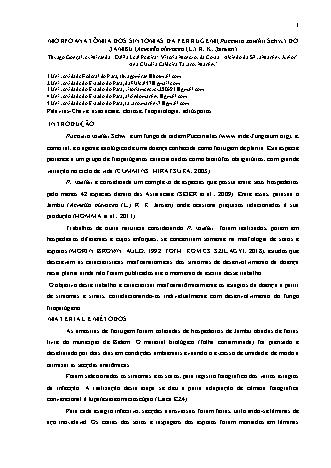 View pdf preview