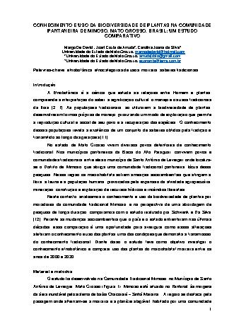 View pdf preview