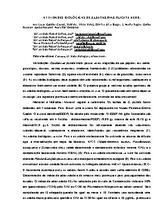 View pdf preview