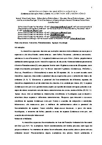 View pdf preview