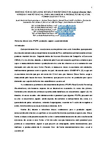 View pdf preview
