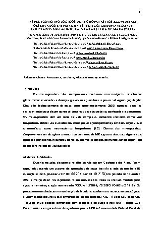 View pdf preview