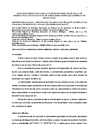 View pdf preview