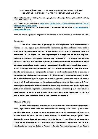 View pdf preview