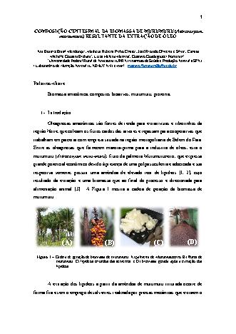 View pdf preview