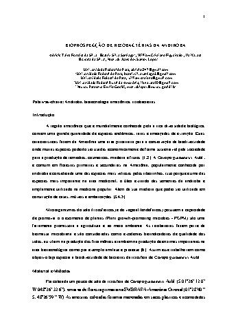 View pdf preview