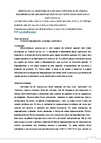 View pdf preview