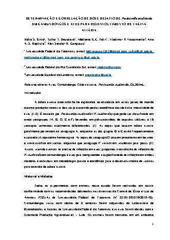 View pdf preview
