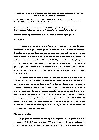 View pdf preview