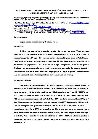View pdf preview