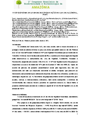View pdf preview