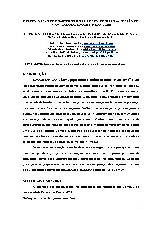 View pdf preview