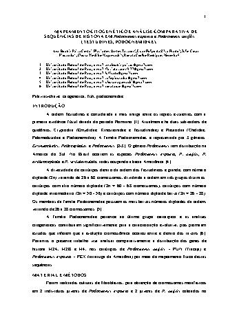 View pdf preview