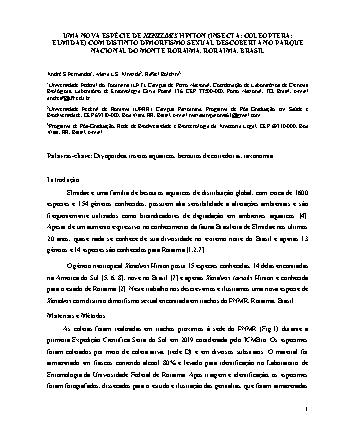 View pdf preview