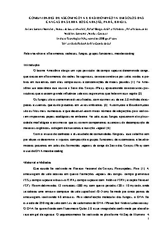 View pdf preview