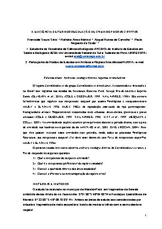 View pdf preview