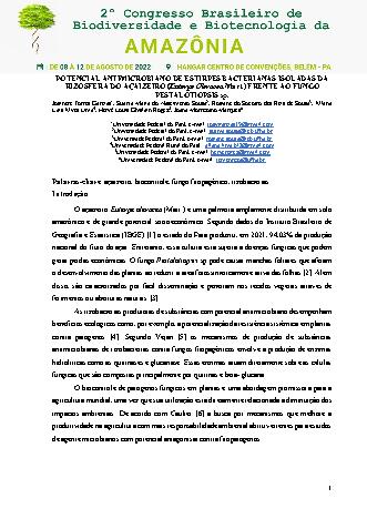 View pdf preview