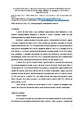 View pdf preview