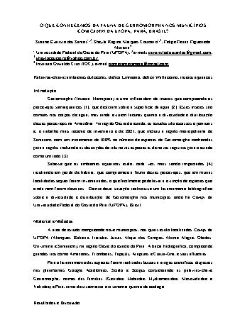 View pdf preview