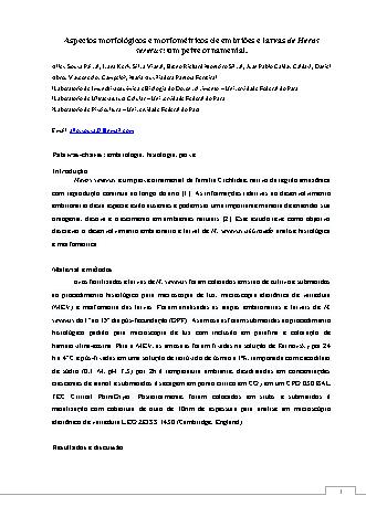 View pdf preview