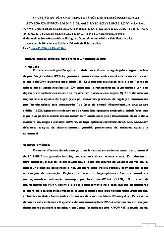 View pdf preview