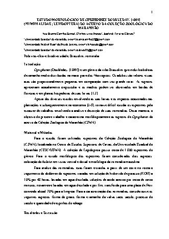 View pdf preview