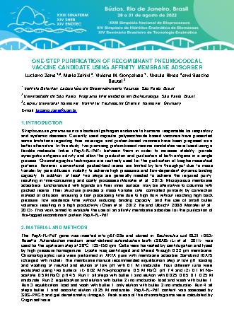 View pdf preview