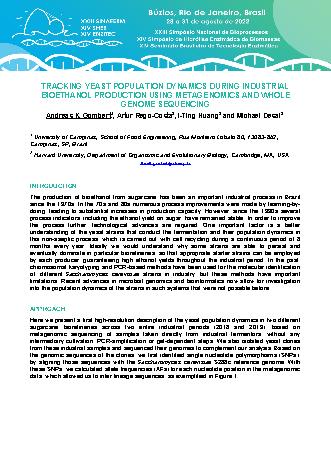 View pdf preview