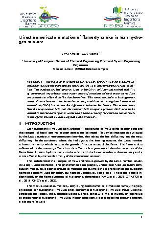 View pdf preview
