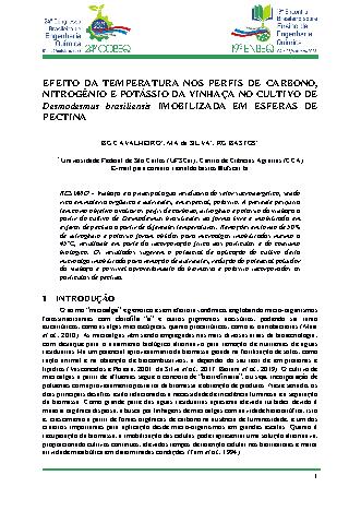 View pdf preview