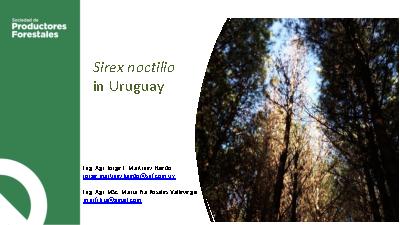 View pdf preview