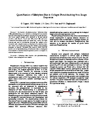 View pdf preview