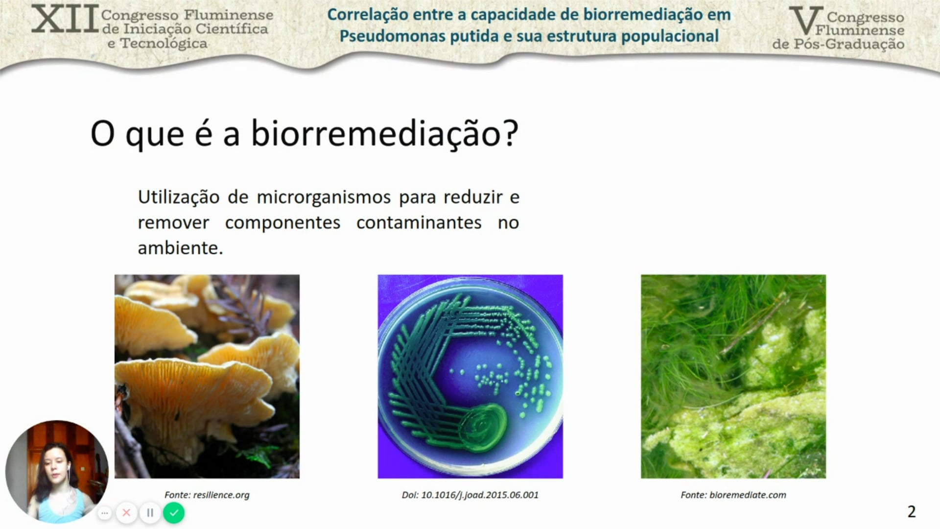 Qual Dos Seguintes Processos Seria Considerado Um Exemplo De Biorremediação